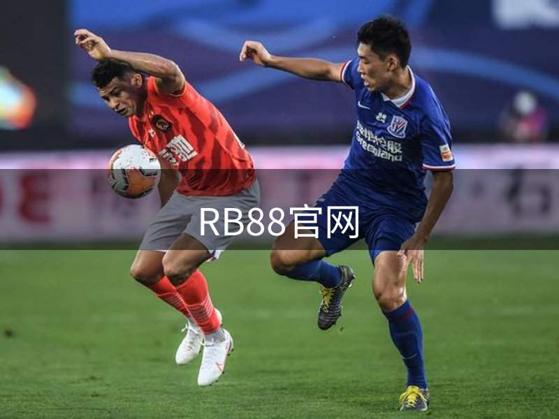 网站介绍